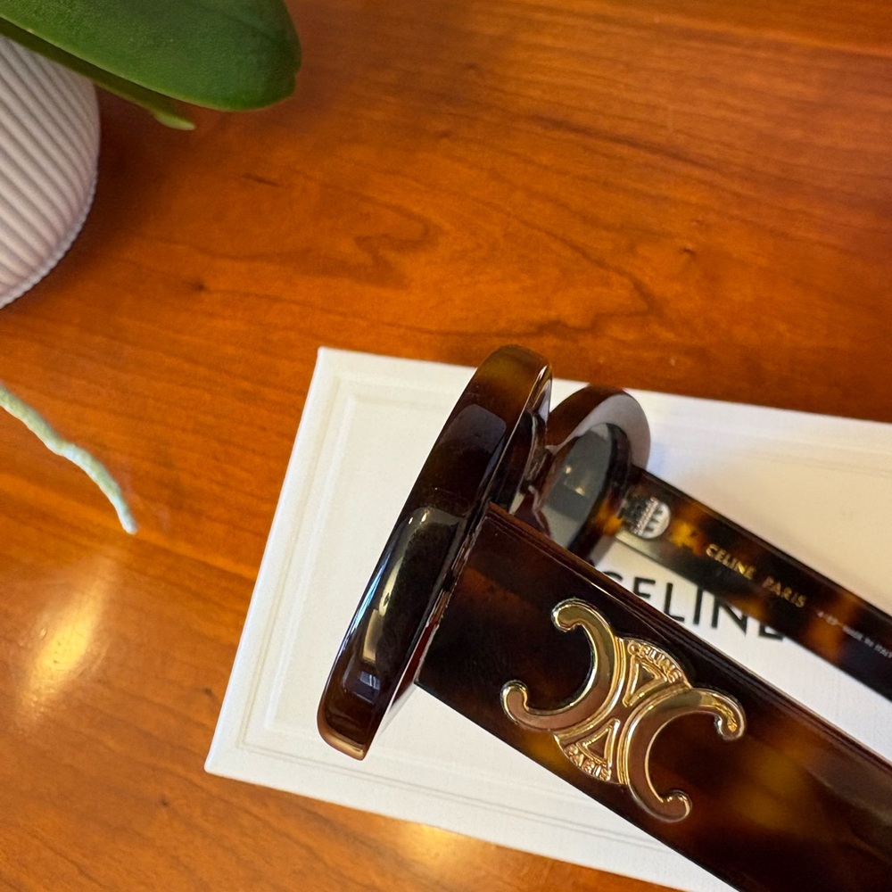 Celine Triomphe 01 Sunglasses in Acetate - Picture 5 of 15